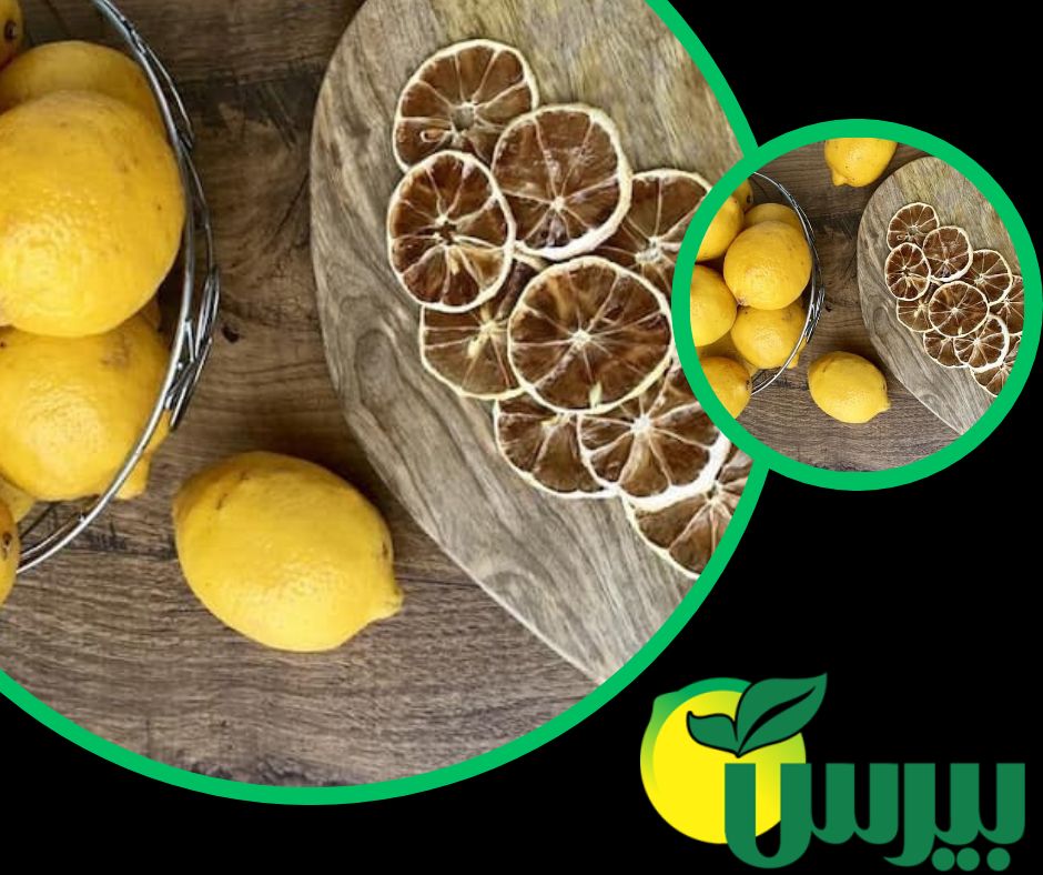بهترین فروشنده لیمو خشک جهرم با به صرفه ترین قیمت در بازار